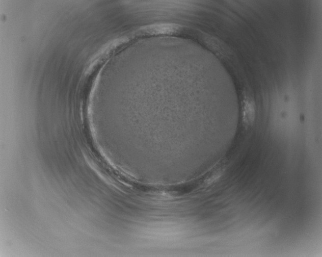 X0000051890254200507081946