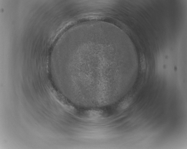 X0000051890255200507081946