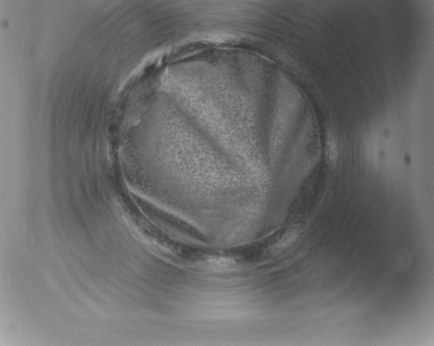 X0000051890256200507081946