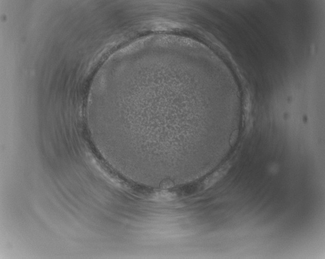 X0000051890257200507081946