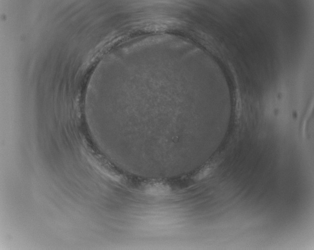 X0000051890258200507081946