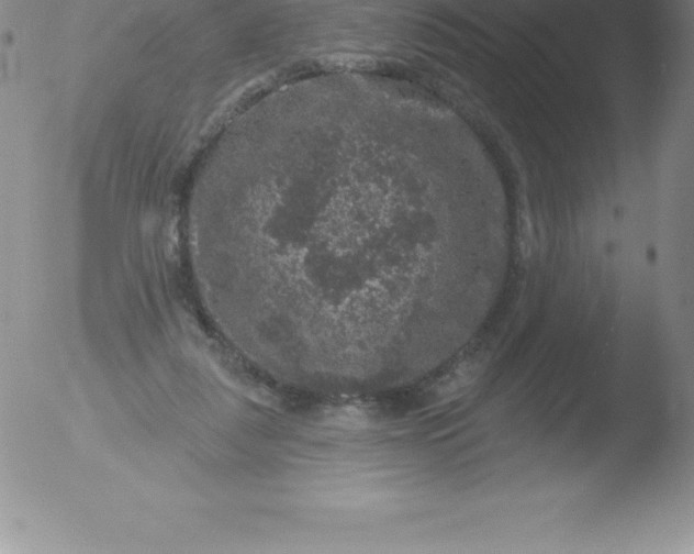 X0000051890259200507081946