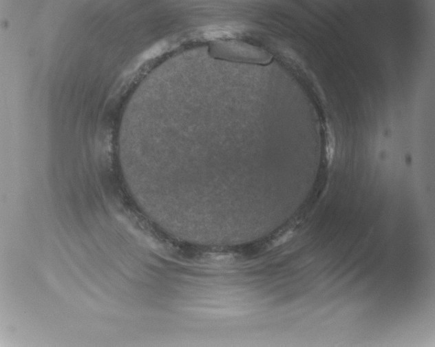 X0000051890260200507081946