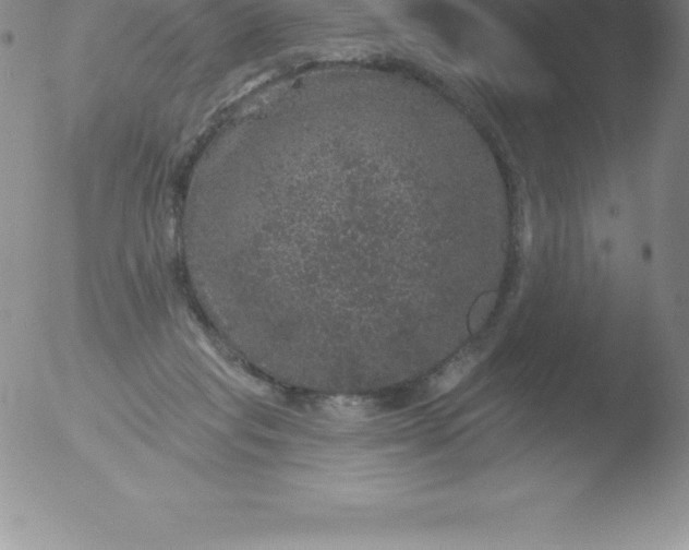 X0000051890261200507081946