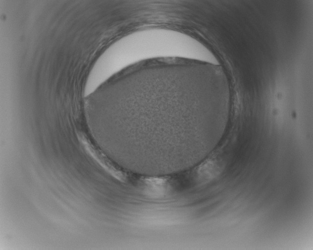 X0000051890265200507081946