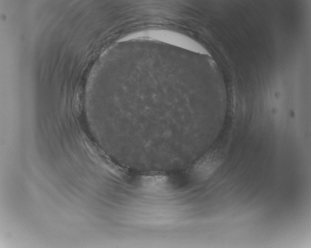 X0000051890266200507081946