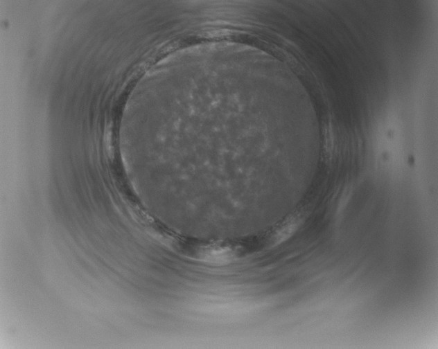 X0000051890267200507081946