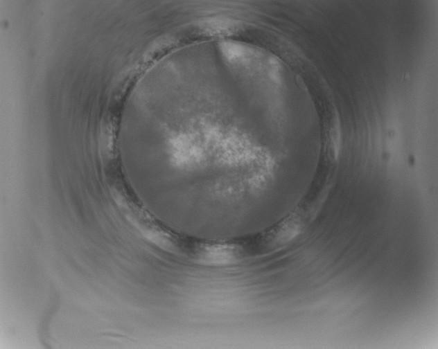 X0000051890268200507081946