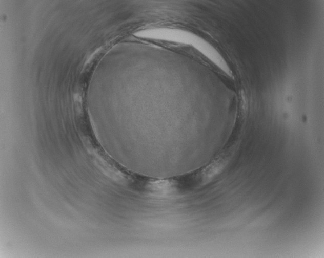 X0000051890269200507081946