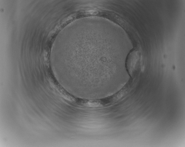 X0000051890270200507081946