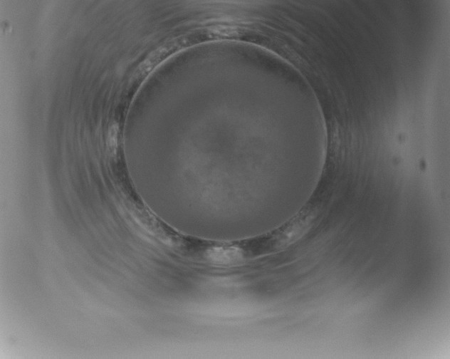 X0000051890271200507081946