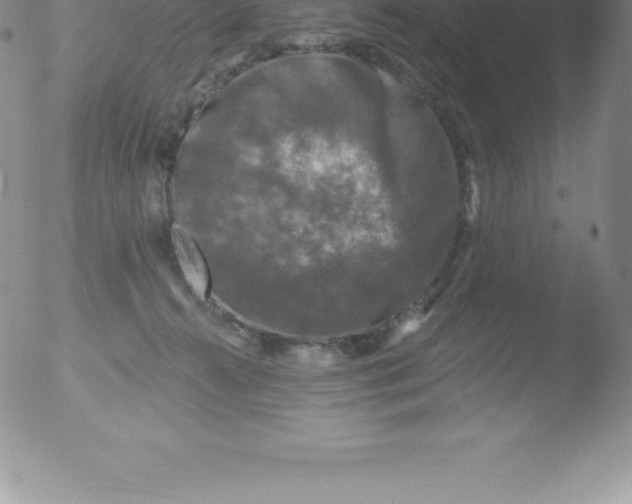 X0000051890272200507081946