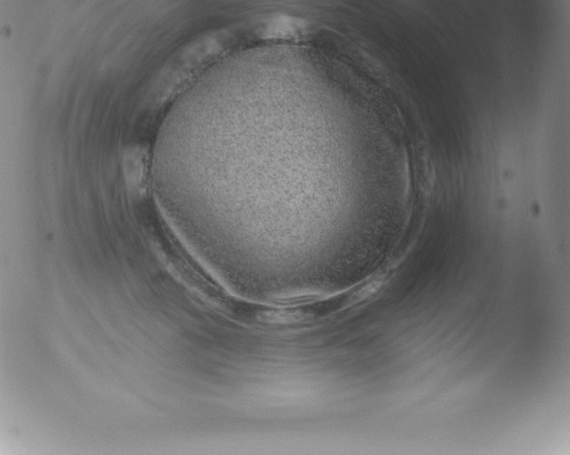 X0000051890273200507081946