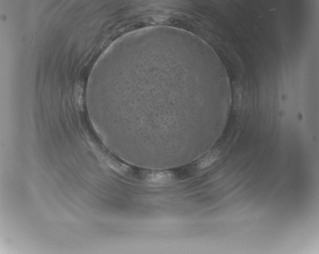 X0000051890274200507081946