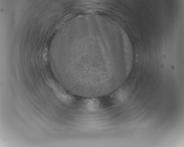 X0000051890275200507081946