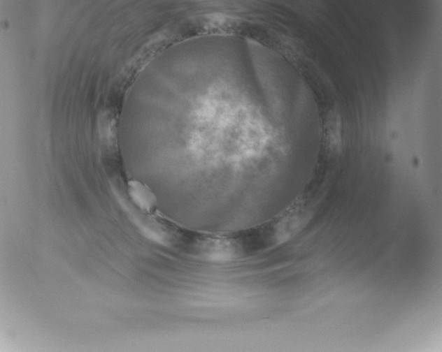 X0000051890276200507081946