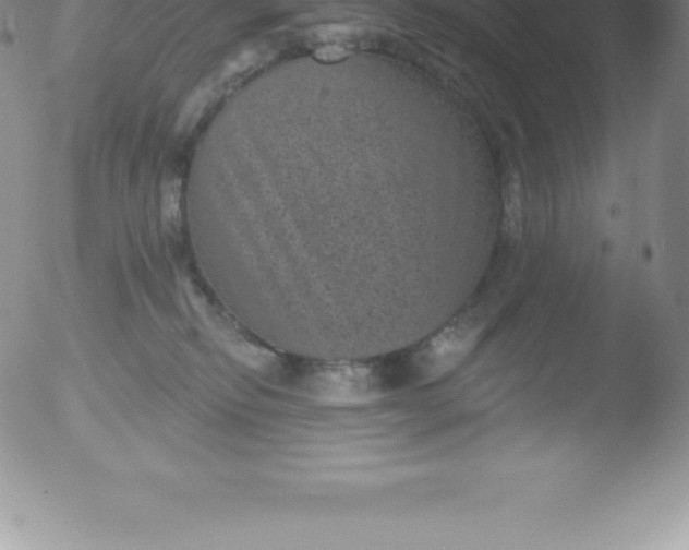 X0000051890278200507081946