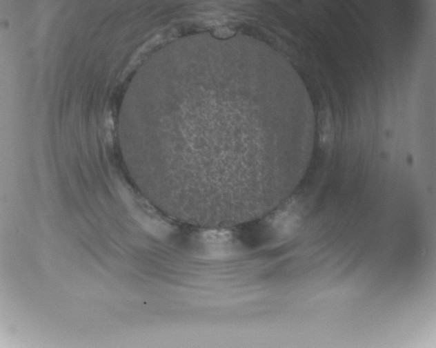 X0000051890279200507081946