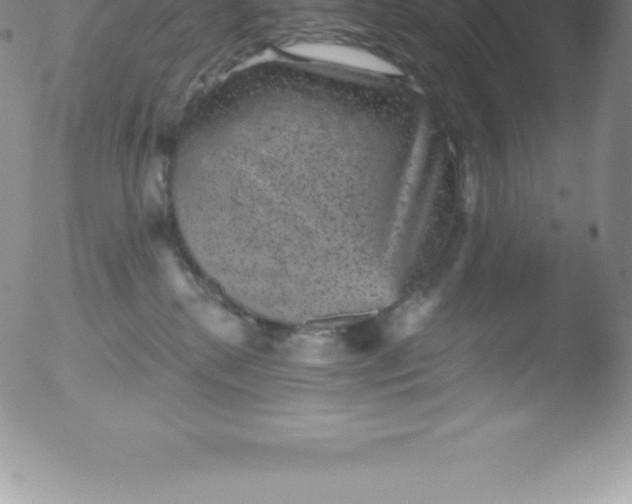 X0000051890280200507081946