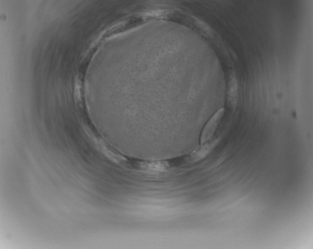 X0000051890282200507081946