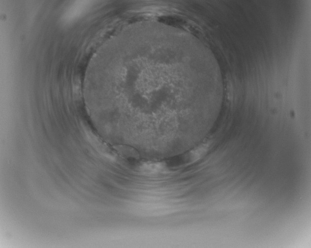 X0000051890283200507081946