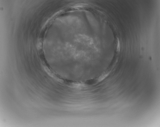 X0000051890284200507081946