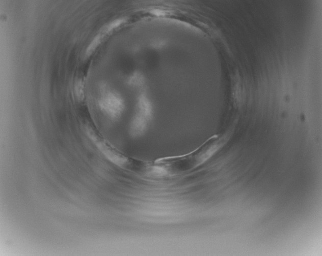 X0000051890285200507081946