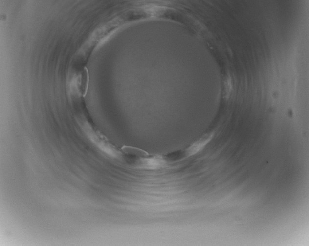 X0000051890286200507081946