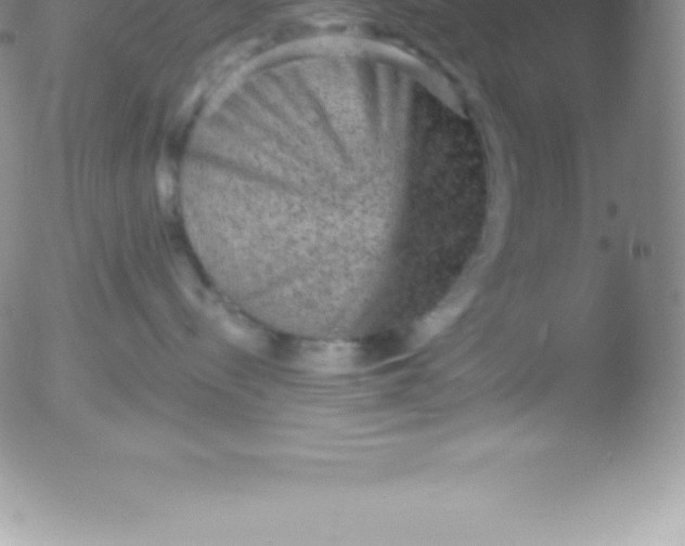 X0000051890288200507081946