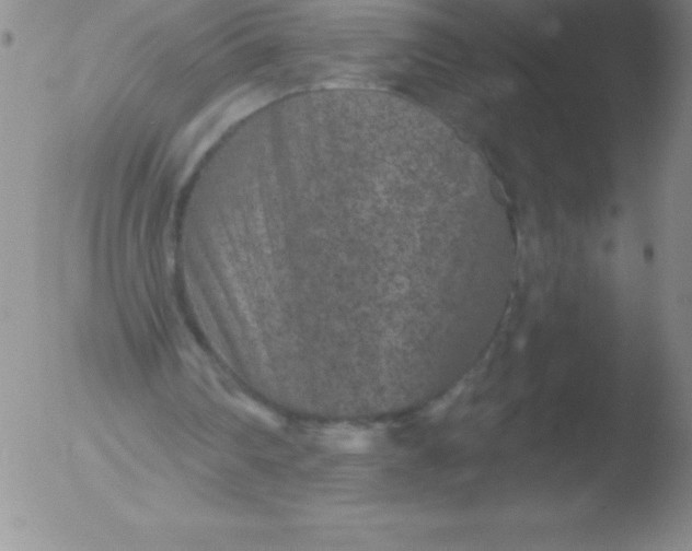 X0000051890290200507081946