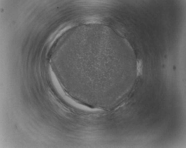 X0000051890291200507081946