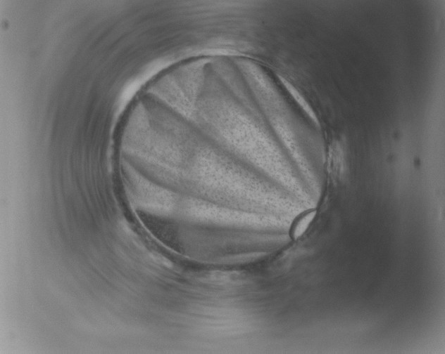 X0000051890292200507081946