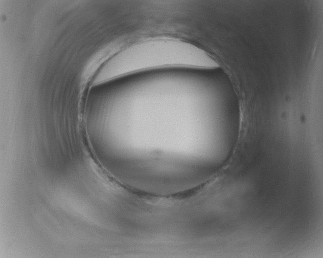 X0000051890293200507081946