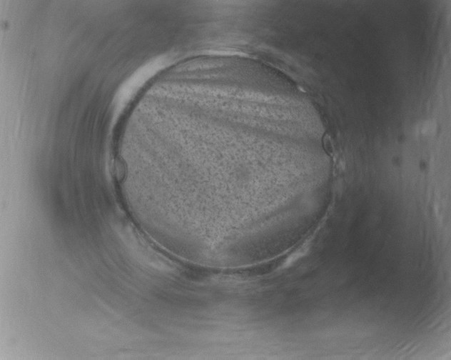 X0000051890294200507081946