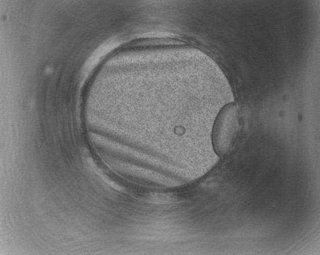 X0000051890296200507081946