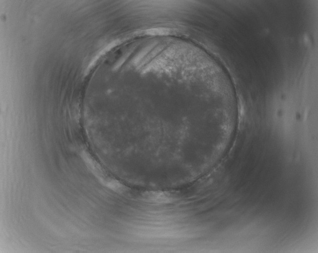 X0000051890297200507081946