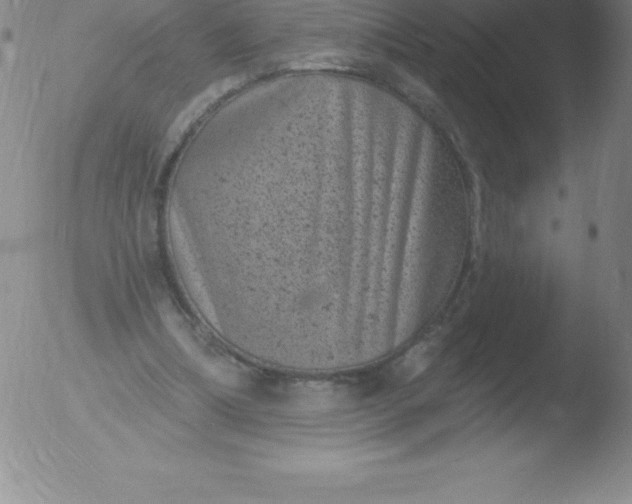 X0000051890298200507081945