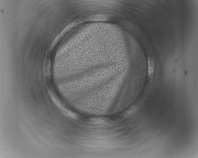 X0000051890300200507081945