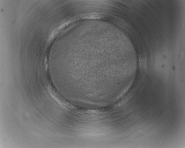 X0000051890302200507081945