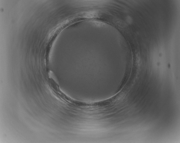 X0000051890303200507081945