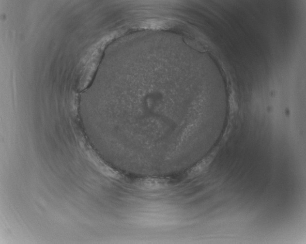 X0000051890305200507081945