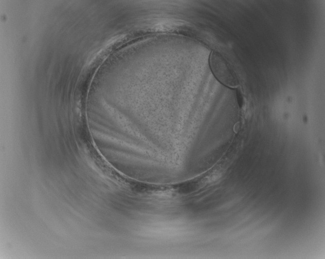 X0000051890306200507081945