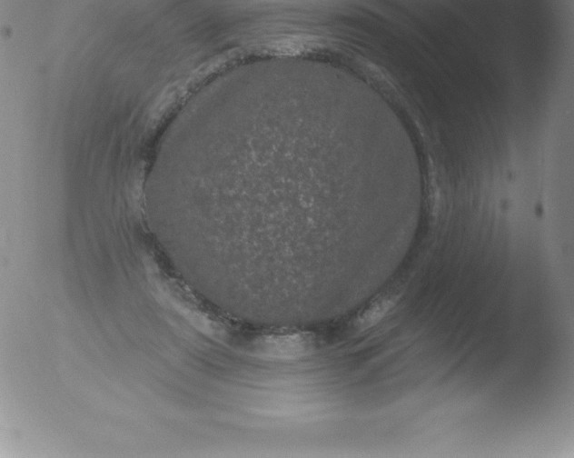 X0000051890307200507081945