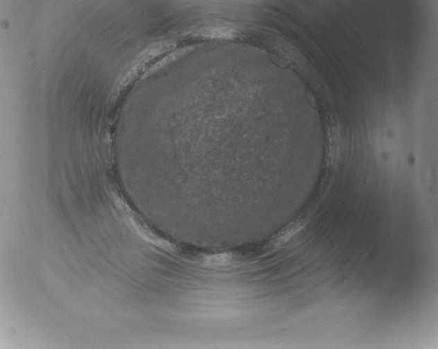 X0000051890309200507081945