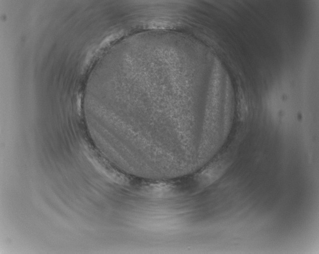 X0000051890310200507081945