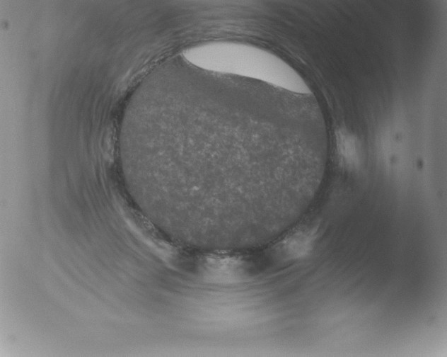 X0000051890311200507081945