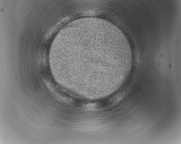 X0000051890312200507081945