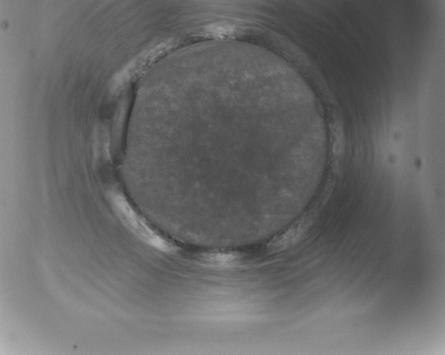 X0000051890313200507081945