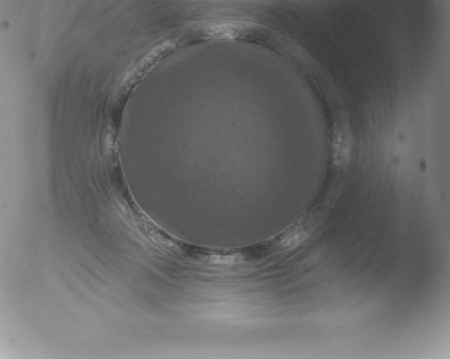 X0000051890314200507081945