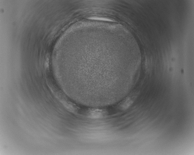 X0000051890315200507081945